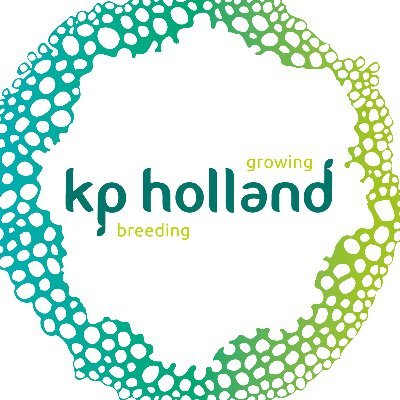 kp_holland Profile Picture