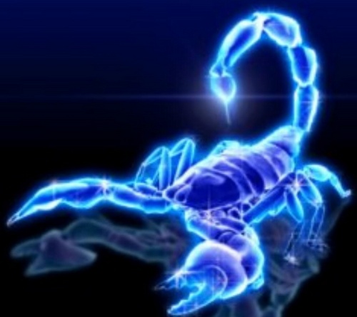cmoewilliy's profile picture. Loyalty to those who are loyal to me.