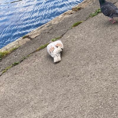 Bangy100's profile picture. 