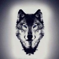 🇹🇷🦅 (@milli_savunma_) Twitter profile photo