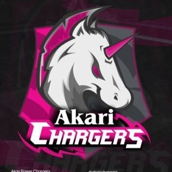 AkariChangers Profile Picture