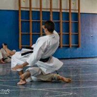 Mikele Milia (@mikele_milia) 's Twitter Profile