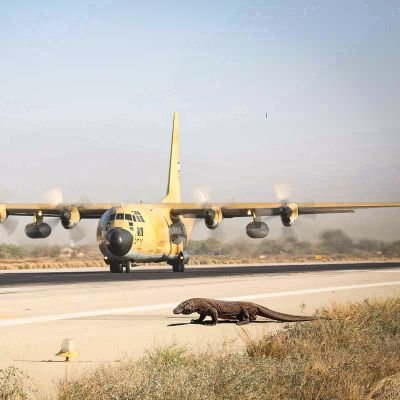 iranimilitary's profile picture. 🧐