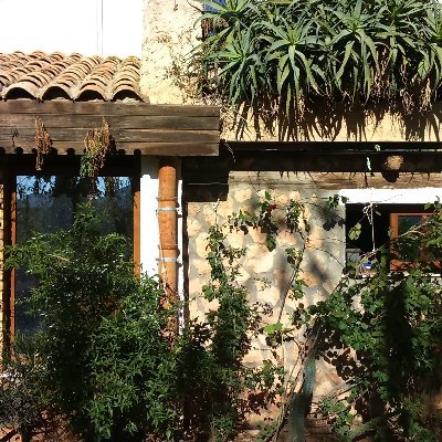 eh_kodiak's profile picture. I used to fly planes and be funny