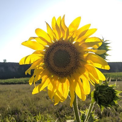 ngzhi1w's profile picture. 