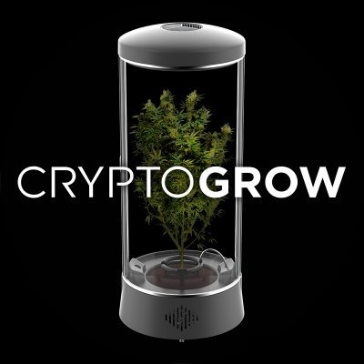 A machine that grows cannabis at home. NFTs that earn crypto. 🌿📲 | MINT: https://t.co/BMFyQdL27h | 🔌 by @NiftyKitApp