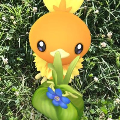 ポケモンGO黄TL50/埼玉と都内/アチャモ、ポッチャマ、はがねタイプ好き/レイド好き/サイズ違い、推しの100集めてます。交換ぜひ!