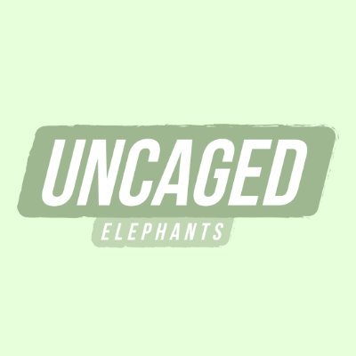 We are here to #UNCAGE from Web2 into Web3. Building a brand for the #SOLANA community. Uncage with us, you're early ... 👀🐘