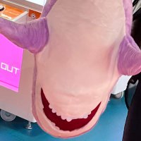 ソーリー (@on_up7) 's Twitter Profile