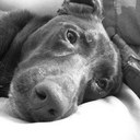 Jamie Lytle - @Jaylnn71 - Twitter