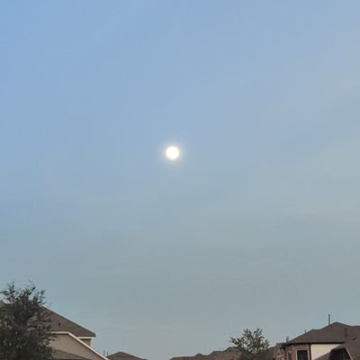 abstractione's profile picture. Bilingual Human Resources Professional