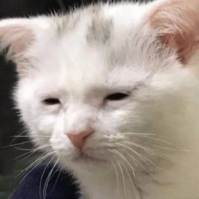 skzgudockgae's profile picture. 잡덕 구독계