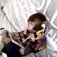 sthetiku's profile picture. ⠀⠀⠀ ⠀⠀haechan y sólo haechan