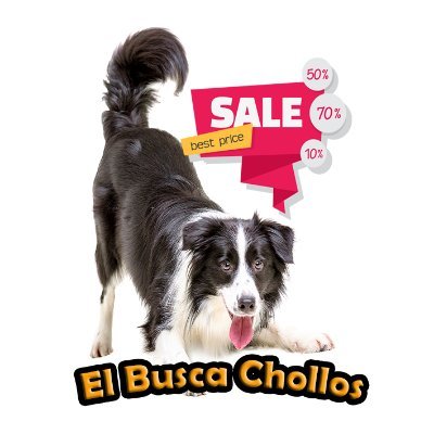 El Busca Chollos