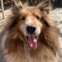 ばっしー (@qmrjiemoorewbwb) 's Twitter Profile