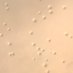 Mycoplasma and Ureaplasma Group (@mug_cmu) Twitter profile photo Mycoplasma and Ureaplasma Group (@mug_cmu) Twitter profile photo