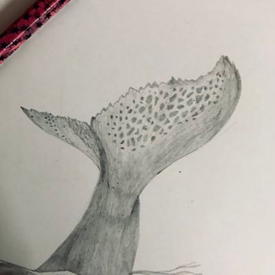 aboringhuman_'s profile picture. 