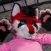 The horny red femboy fox (@RedFoxInTheDark) Twitter profile photo