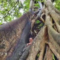 Belen Alvestegui (@bealvestegui) 's Twitter Profile Photo Belen Alvestegui (@bealvestegui) 's Twitter Profile Photo