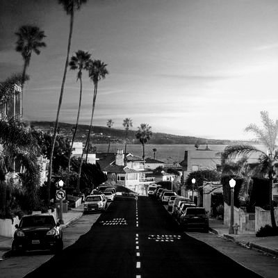 tchfts's profile picture. 🐫🐫🐪🐫🐫
untoldstory