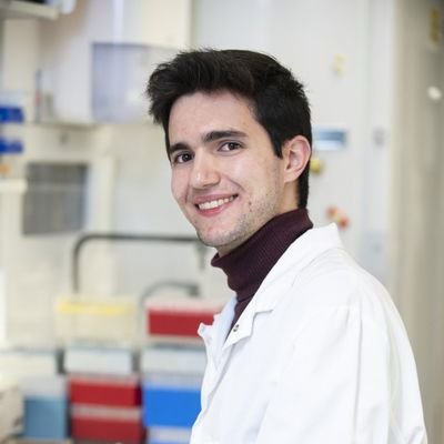 PhD candidate at the Saleh Lab - Institut Pasteur 🪰🧬