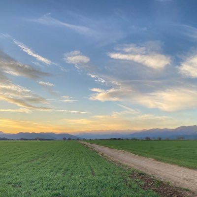 martacasmoi's profile picture. M’agrada gaudir dels petits grans moments. 😊  Enamorada de la meva família 👨‍👩‍👧‍👦❤️Mama d’un àngel 🕊💫 #fuckcancer