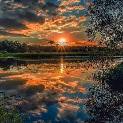 gaid_zaki's profile picture. الفتاة المجهولة