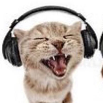 Kat/06さんのプロフィール画像
