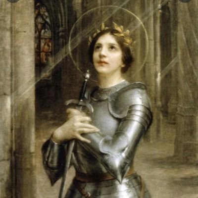 Crusader. 100% organic blood. Right so far. Enemy of the state. The trend is nigh. 🇬🇧✝️ No DMs.