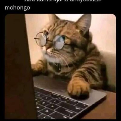 ildfonce's profile picture. Actor