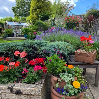 Retired Freelance Event Manager, now volunteers at Welwyn Community Library and Shaw’s Corner. Village life is important.