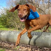 Erwin Versleijen (@versleijen_nz) 's Twitter Profile Photo