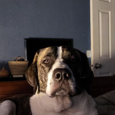 Little puffs of poetry - I'm an engineer, but I also love writing. I'll add links to other projects when I make those public. For now, read some stupid poems.