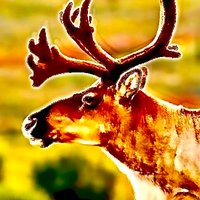 Brenda Parlee (@bparlee) 's Twitter Profile