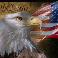 The Constitutionalist (@epiphany68) 's Twitter Profile