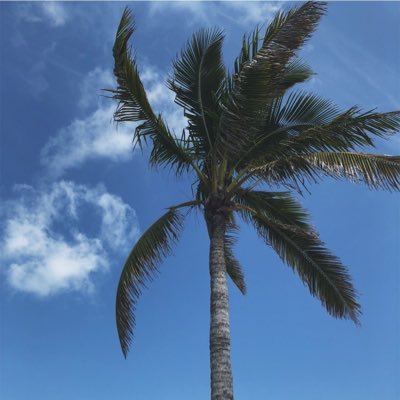 kaitlyn_rusin's profile picture. 