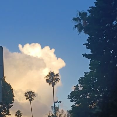 M_The_Chosen's profile picture. youuuu knoooww im goin around in circles baby