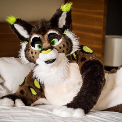 💚30 year old lynx/fox. Sometimes NSFW so 18+ only please! Suits by FursuitsByLacy and DTWA. Dating @fekfekfekfek 💚