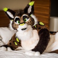 Sochi (@itssochi) 's Twitter Profile Photo Sochi (@itssochi) 's Twitter Profile Photo