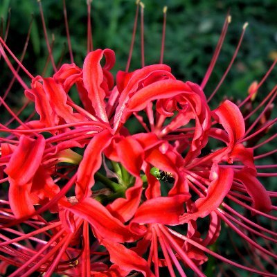 mil47131977's profile picture. 