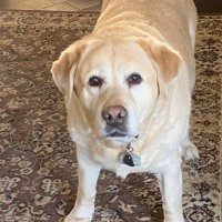 M (@stopvaxxedlies) 's Twitter Profile