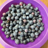 Blueberry (@danvondohlen) 's Twitter Profile Photo Blueberry (@danvondohlen) 's Twitter Profile Photo
