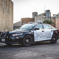 Crete Police K9 Program (@cpdpopaws) 's Twitter Profile