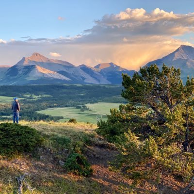 Journalist. Adventurer. Photographer. Bird nerd. Dad. @RCGS_SRGC Fellow. Instagram @graydio1