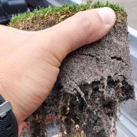 Damian Hillen (@hillendamian) 's Twitter Profile Photo