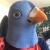 Nick Walters (@nickwalters1401) Twitter profile photo Nick Walters (@nickwalters1401) Twitter profile photo