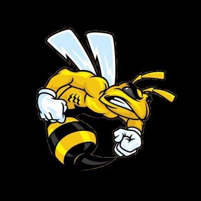 Home of the Lady YellowJackets🏀                                                   CashApp $CarverYellowJackets CarverYellowJacketsWBB@gmail.com