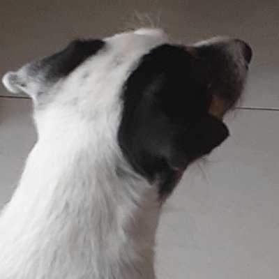 Peo01902962's profile picture. 