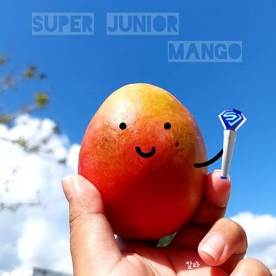 엘프예요 💙
SJ 💙  슈퍼주니어
Staff @ELFintUnion
#SUPERJUNIOR #Mango 🥭