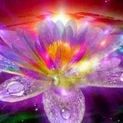 VukelicVilma's profile picture. 